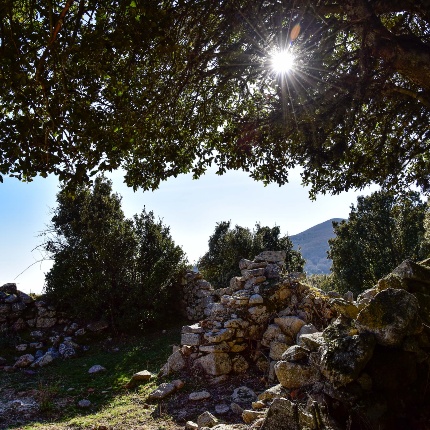 The remains of the fortification in the shadow of a holm oak (photoIvo Piras)