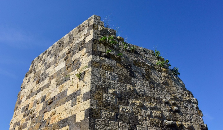 Ruins of the Judicature Palace