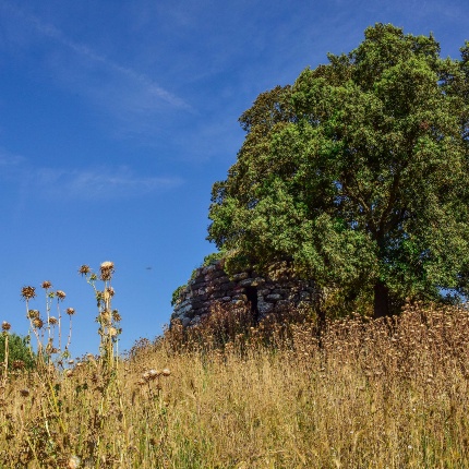 Panoramic view of the nuraghe (photoIvo Piras)