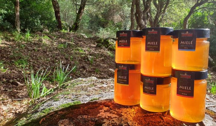 Dear Monte Minerva Leonardo Carta