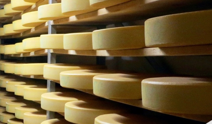 Pinna Cheese Products