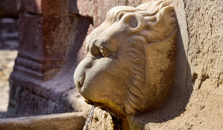 Particolare di un leone versatore