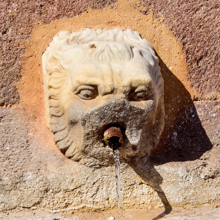 Detail of a mutilated pouring lion (photoIvo Piras)