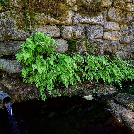 Fontana (foto Ivo Piras)