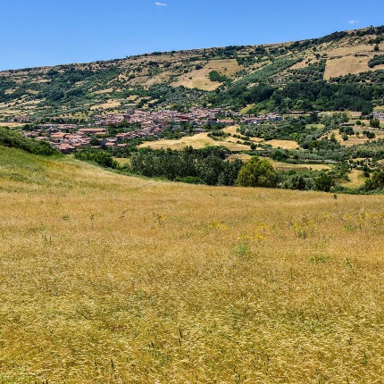 Panoramica del centro abitato e del territorio circostante (foto Ivo Piras)