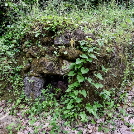Masonry structures belonging to the sacred complex, today covered by vegetation (photoIvo Piras)