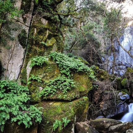 Parco Mariani (foto Ivo Piras)