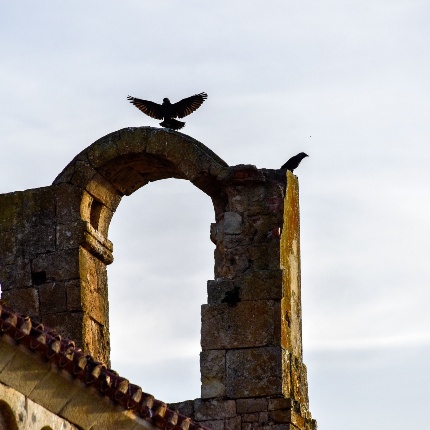 Sail bell tower (photoIvo Piras)