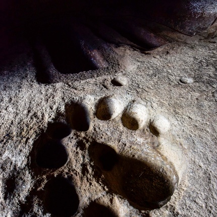 The floor of the Tomba del Capo features 15 offering pits. (photoIvo Piras)