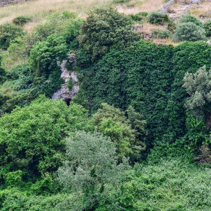 The cliff covered with dense vegetation (photoIvo Piras)
