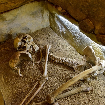 Skeleton (photoIvo Piras)