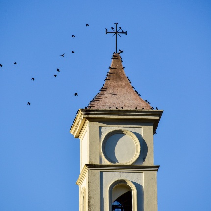 Detail of the bell tower (photoIvo Piras)