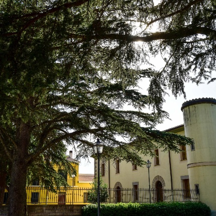 Forest barracks (photoIvo Piras)