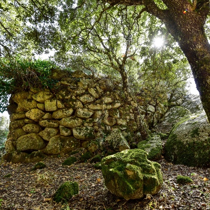 Curtain with concave-convex movement (photoIvo Piras)