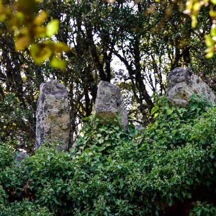Eight corbels inserted on the top of the facing as part of a balcony (photoIvo Piras)