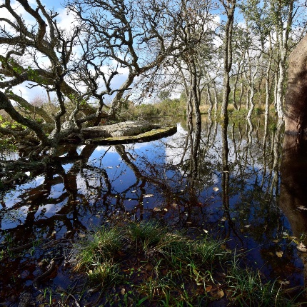 Paule Pizzinna (foto Ivo Piras)