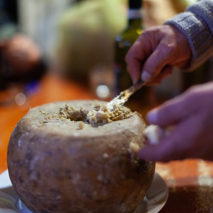 The famous Casu Marzu (photoRobert Pavsic - stock.adobe.com)