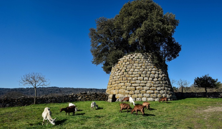 L'edificio in trachite è del tipo monotorre a tholos
