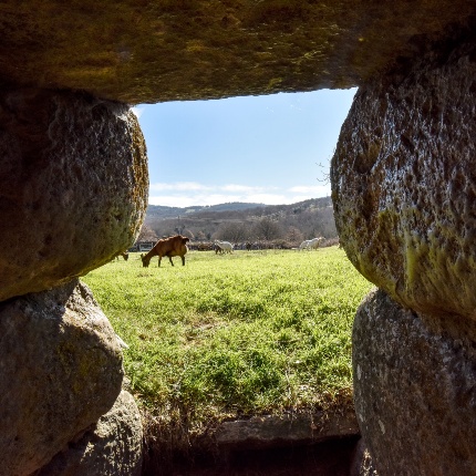 View of the outside of the nuraghe with goats grazing (photoIvo Piras)