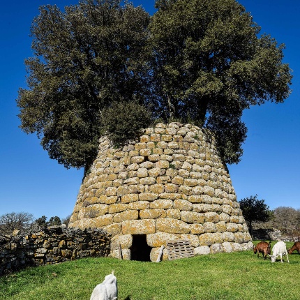 View of the tower with the entrance facing East (photoIvo Piras)