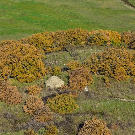 Pinnetta (foto Ivo Piras)