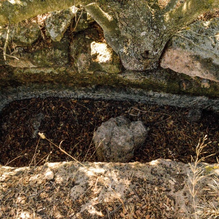 Roman-era tomb (photoComune di Ittireddu)