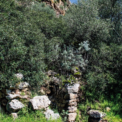 Residential structures (photoGiuseppe Lonis)