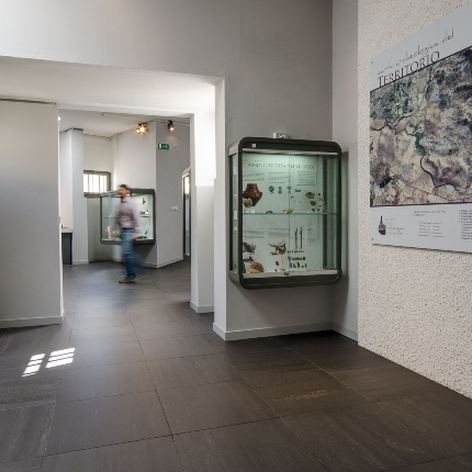 Room 2: The Pre-Nuragic Age (photoGiuseppe Lonis)