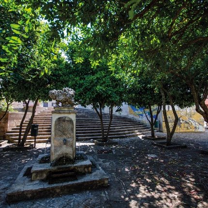 Peralta Garden. Fountain in the shade of pomegranates. (photoAngelo Marras)