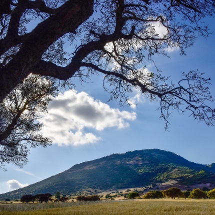 Monte Santo (foto Ivo Piras)