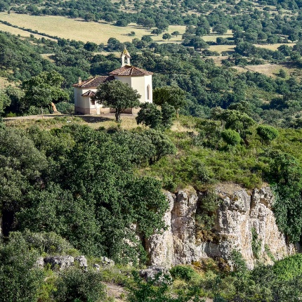 Chiesa di Nostra Signora de Su Canale. Veduta panoramica del santuario immerso nel verde (foto Ivo Piras)