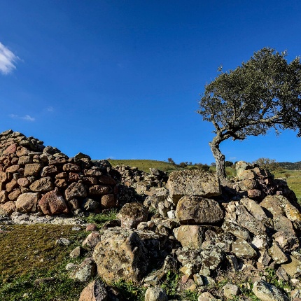 Circular structures present on the site (photoIvo Piras)