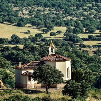 View of the church immersed in the greenery of the surrounding environment (photoIvo Piras)