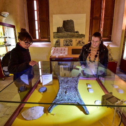 Ozieri, Museo civico archeologico. Ox-hide ingot from Bisarcio (photoIvo Piras)