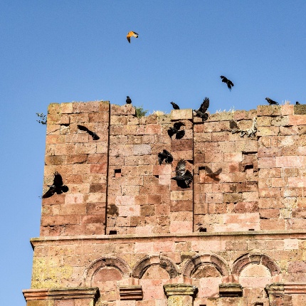 Detail of the hub bell tower with irregular chromaticity. (photoIvo Piras)