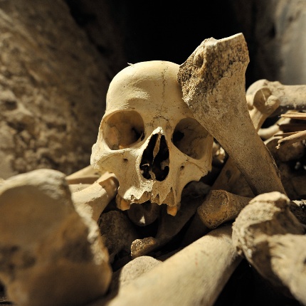 Ossuary of the convent (photoIvo Piras)