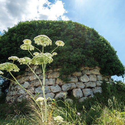 The main body made of limestone consists of a central tower, and at least two additional towers. (photoIvo Piras)