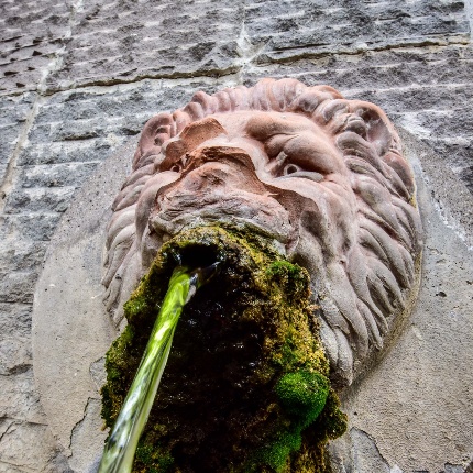 Fontana pubblica. Particolare di un leone versatore (foto Ivo Piras)