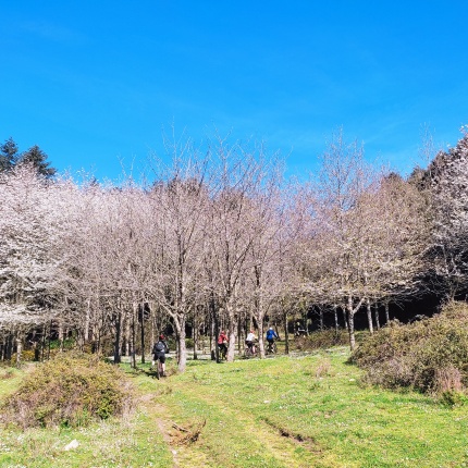 Bonobike (foto Bonobike  - Eliseo Pala)