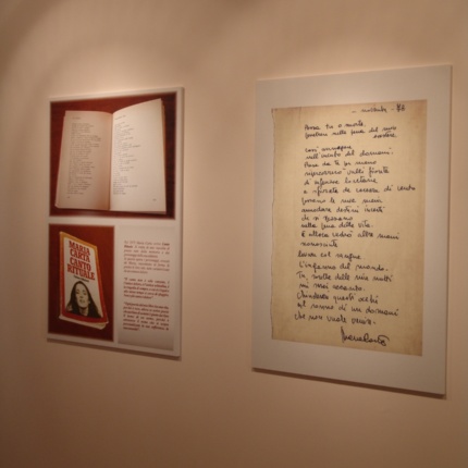 Internal room of the museum (photoFondazione Maria Carta)