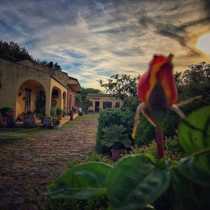 Sa Casara (foto Facebook, Sa Casara)