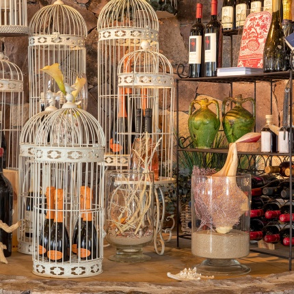 Vini (foto pedramare.com, PedrAmare)