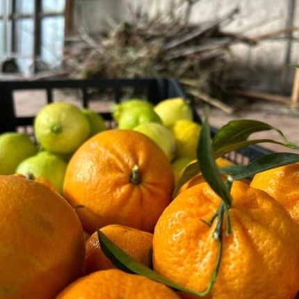 Prodotti della struttura. (foto Booking, Locanda Su Mere)