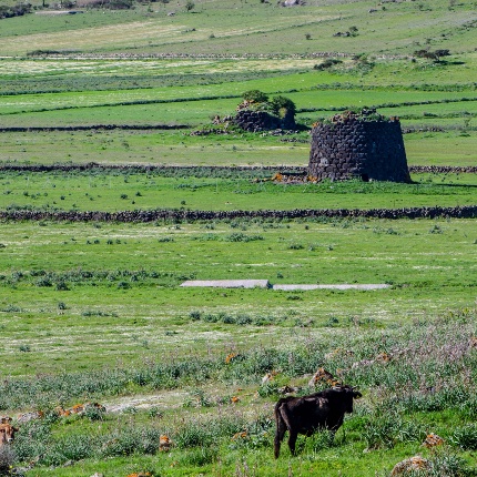 Nearby rises the nuraghe Culzu. (photoGiuseppe Lonis)