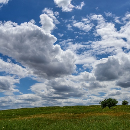 Veduta del territorio nelle vicinanze del lago (foto Ivo Piras)