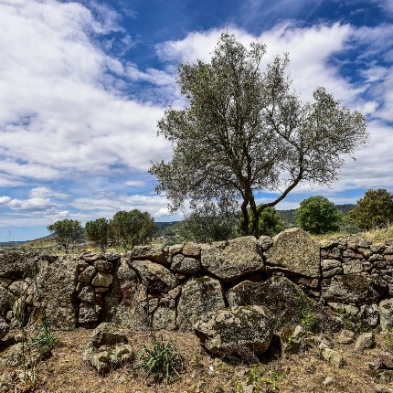 View of the megalithic wall (photoIvo Piras)