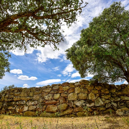 View of the megalithic wall (photoIvo Piras)