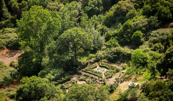 The rose garden inside the structure