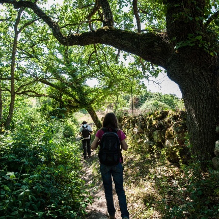 Sentiero lungo il lago che conduce all'edificio romanico (foto Ivo Piras)
