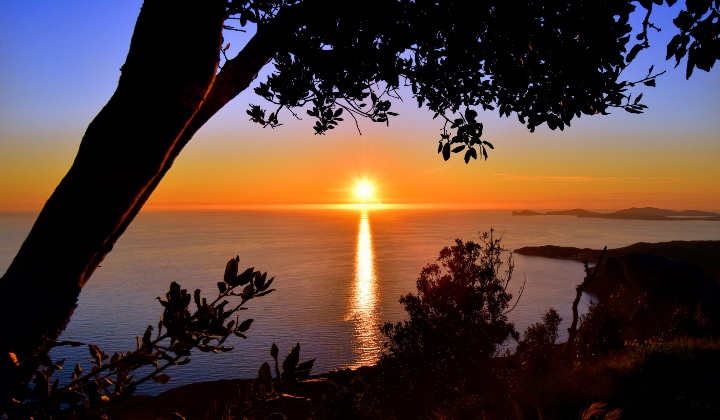 Charming summer sunset